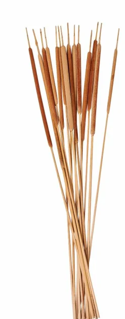 BAMBOO Cassettiera 2 Cassetti Naturale