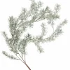 CEDER Ramo Decorativo Verde