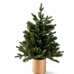CEDER Ramo Decorativo Verde