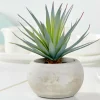 CEMENT Succulente Finto In Vaso Grigio