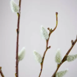 COTTON Ramo Di Cotone Set Di 3 Bianco