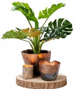 DUO Candele Set Da 2 Crema, Menta, Multicolore