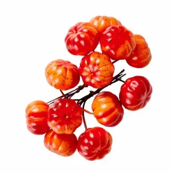 FOAM Ramo Di Melograno Rosso