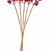 FOAM Zucche Decorative Set Di 12 Rosso