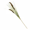 GRASS Mazzo Di Erba Rosso