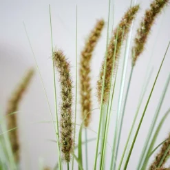 GRASS Mazzo Di Erba Rosso