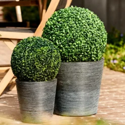 GREEN Palla Di Buxus Verde