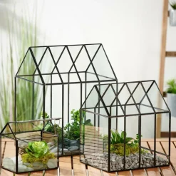 GREENHOUSE Serra Minuscola Trasparente