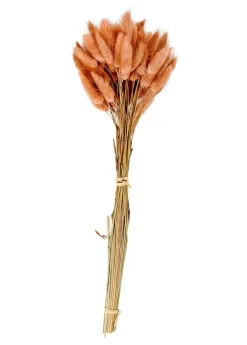 LAGURUS Piumino Naturale