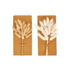 MINA Deco Essiccata Marrone