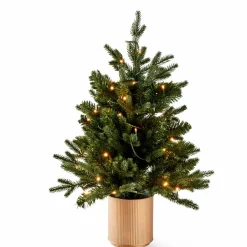 PIM Filo Luminoso 25 Luci Led Verde