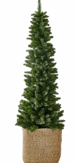 PIM Filo Luminoso 25 Luci Led Verde