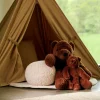 POLA Orso Marrone