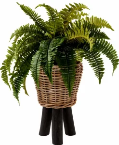 TEAK Supporto Naturale