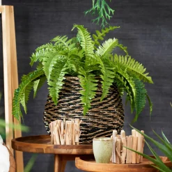 TEAK Supporto Naturale