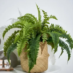 TEAK Supporto Naturale
