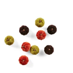 VELVET 9 Zucche Decorative Multicolore