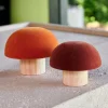 VELVET Fungo Naturale, Multicolore