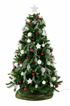 WHITE Ramo D'eucalipto Bianco